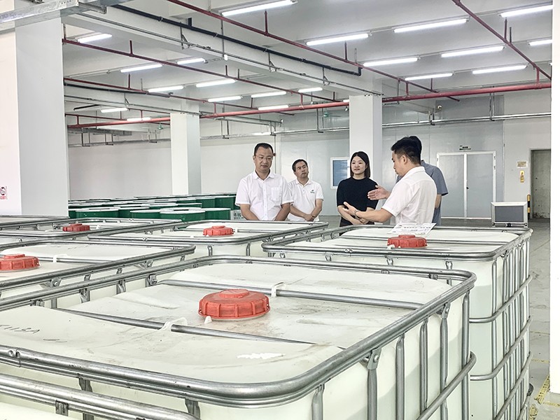 政企连心·共促发展|东莞市东城区政府领导莅临IM电竞新材参观指导